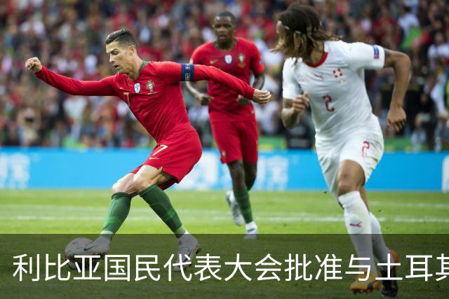利比亚国民代表大会批准与土耳其海域划界协议，欧盟和希腊表达反对